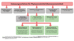 Zulassungsverfahren Phytoarzneimittel