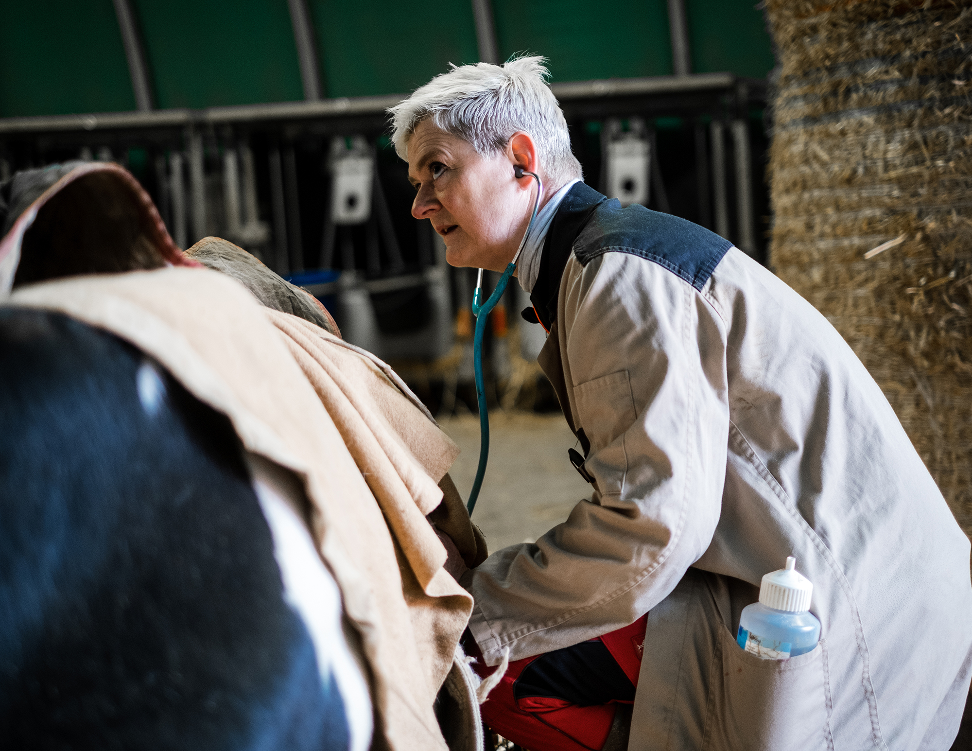 Barbara Knutti al suo lavoro di veterinario