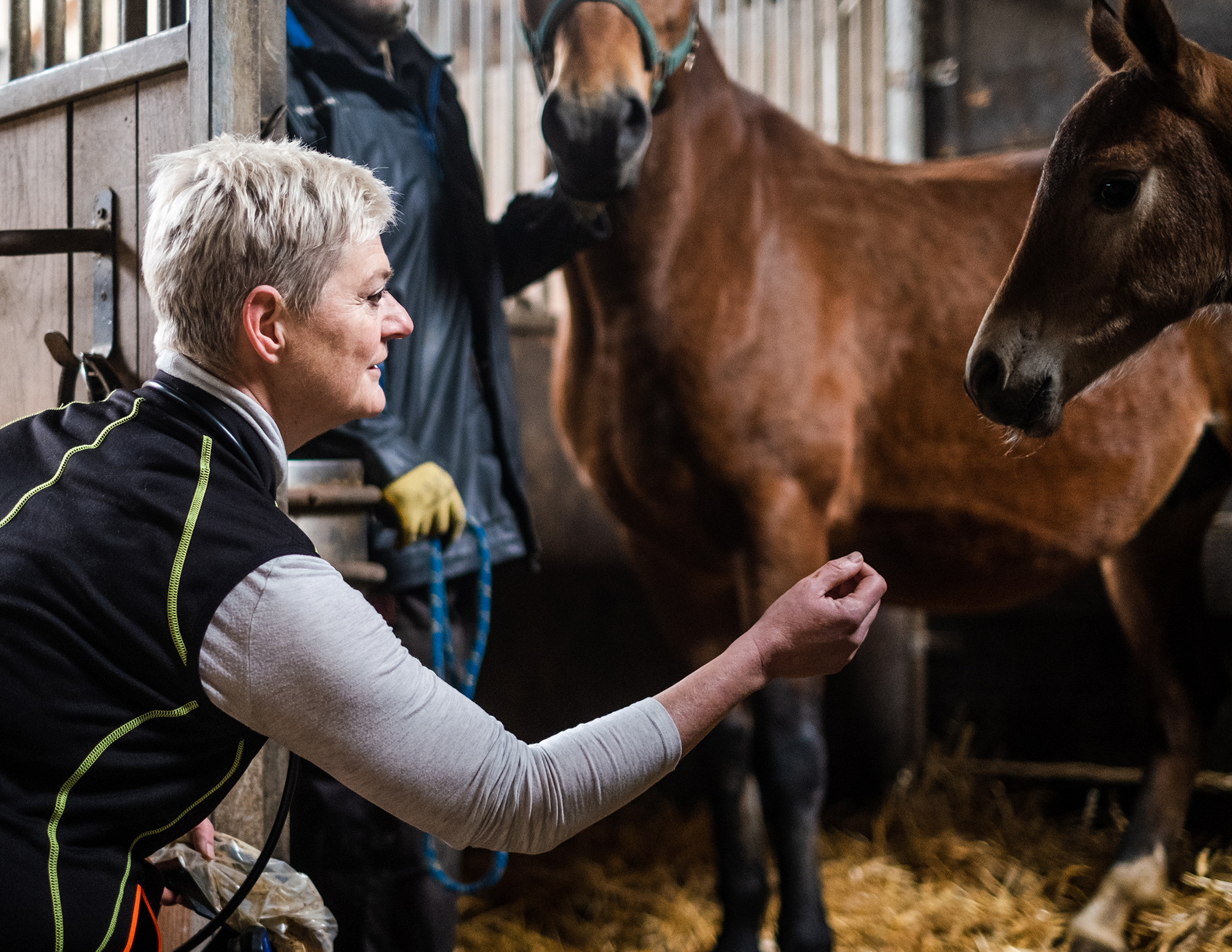 Barbara Knutti al suo lavoro di veterinario