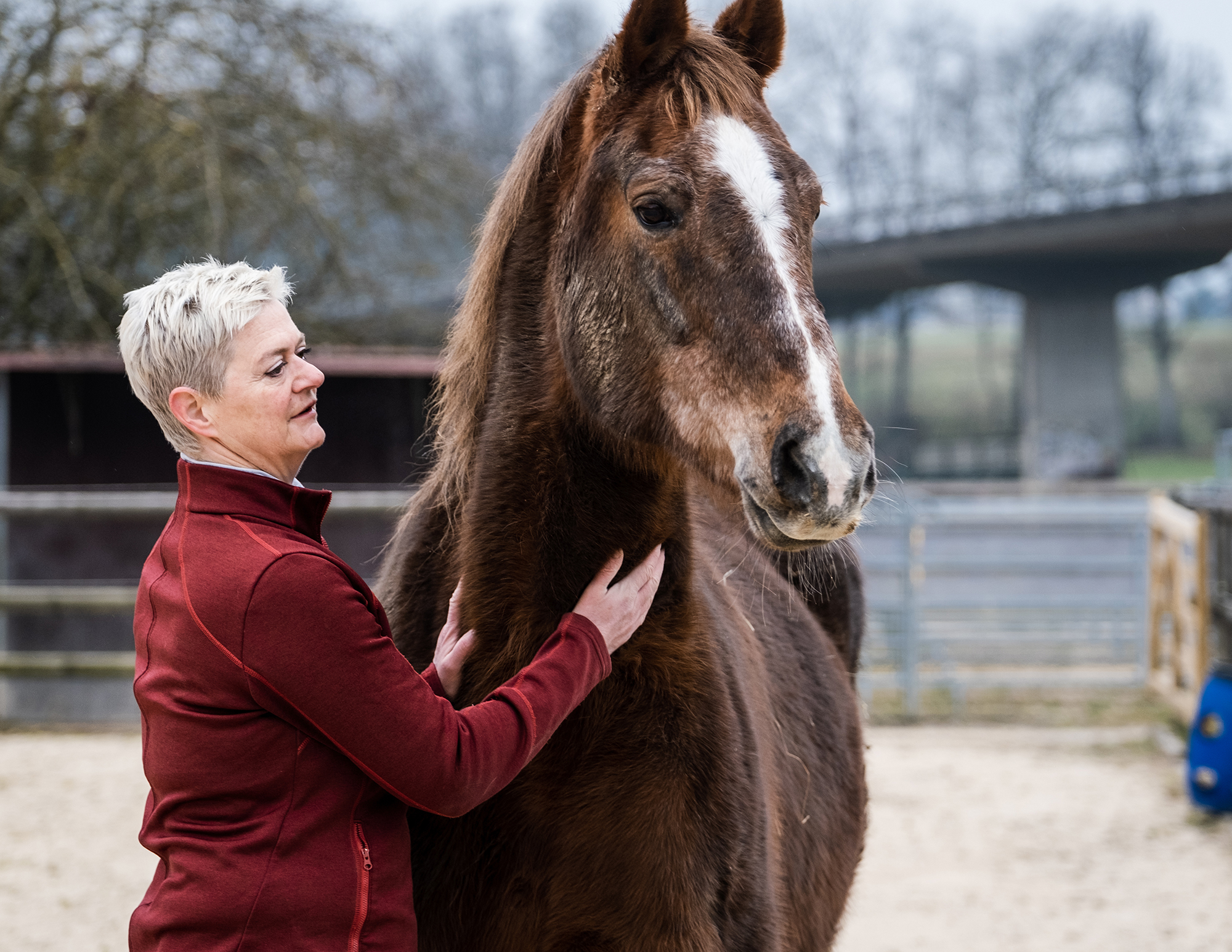 Barbara Knutti al suo lavoro di veterinario