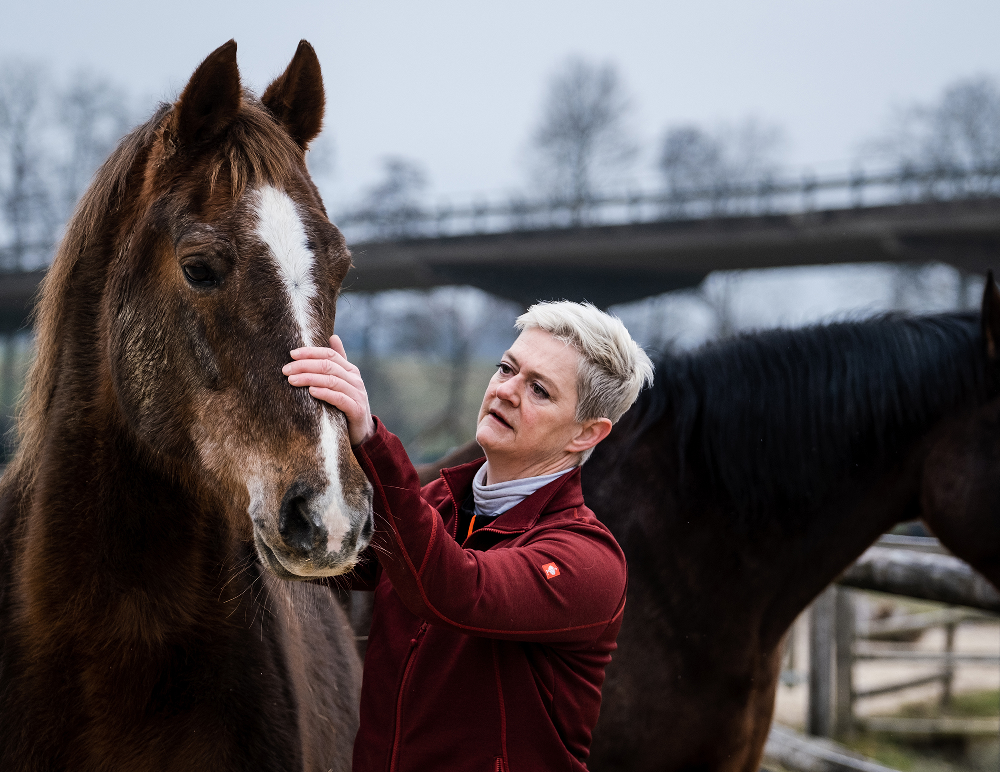 Barbara Knutti bei der Arbeit als Tiermedizinerin