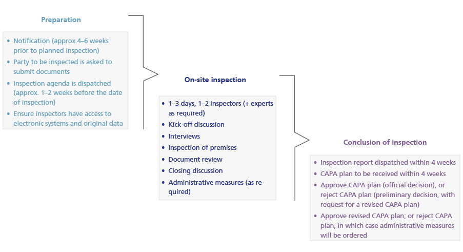 Schematischer Ablauf des Verfahrens bei GCP- und GVP-Inspektionen (Routine)