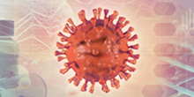 Coronavirus Disease Covid 19 Pandemic