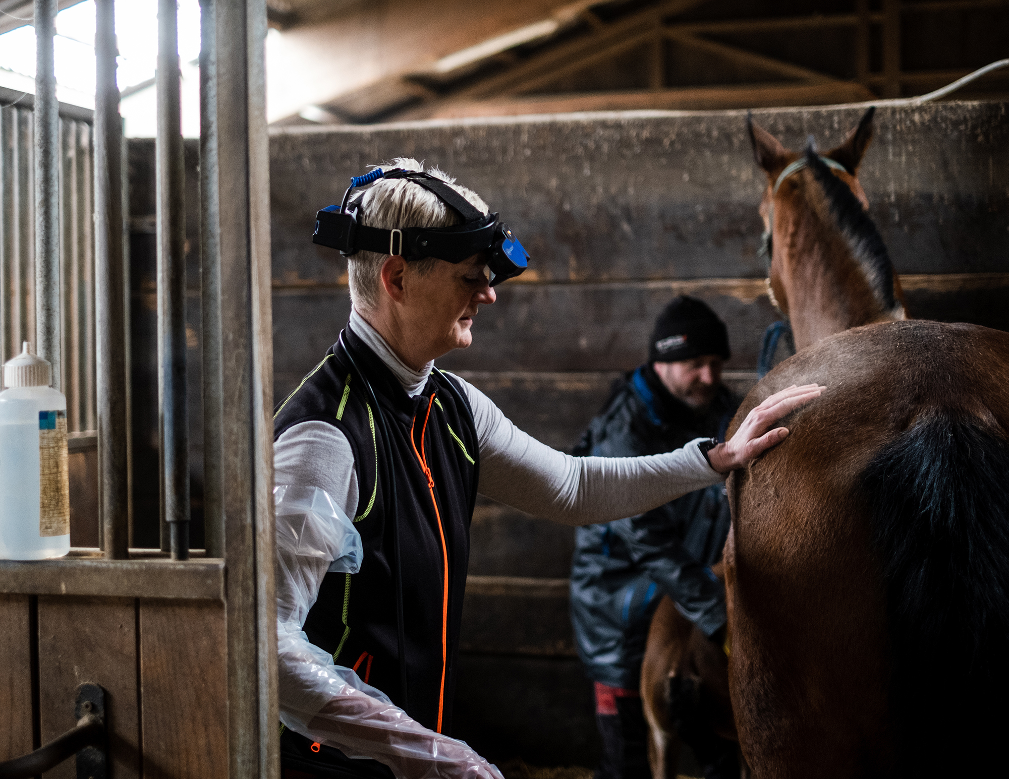 Barbara Knutti al suo lavoro di veterinario