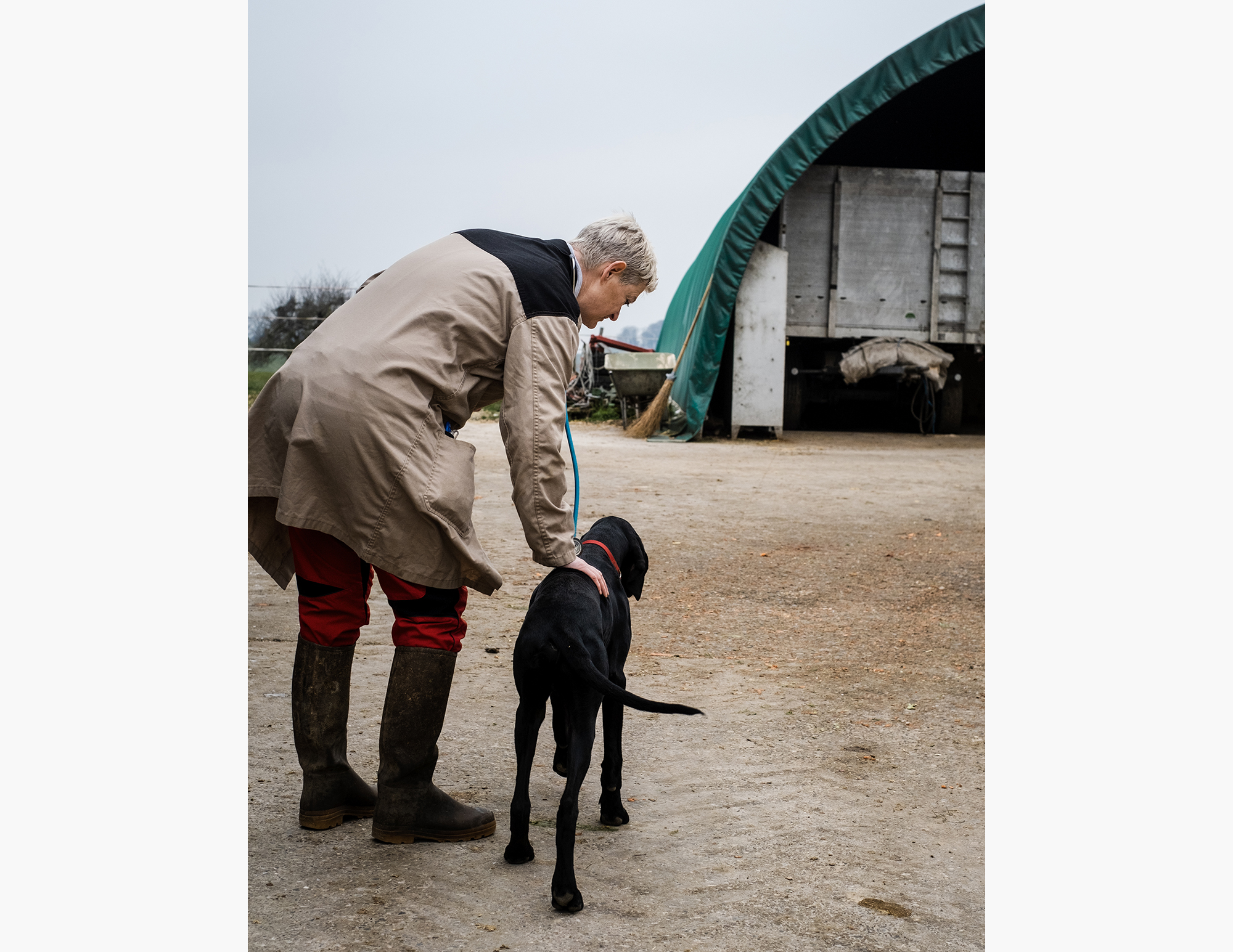 Barbara Knutti al suo lavoro di veterinario